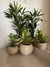 Maceta Florencia Esfera 32x32 - Floridis