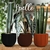 Maceta Spello Pilastri 18 cm