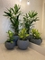 Maceta Florencia Esfera 32x32 - comprar online