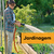 Banner de Quality Home