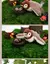 Smart Bird - Brinquedo Inteligente para gatos - Infinity Emporium
