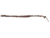 Imagen de CORREA EXTENSIBLE CASHMILON - TALLE 3