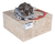 Bomba Agua Original Renault Motor 2.5d G9u
