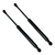 Kit X 2 Amortiguador Baul Porton Trasero Renault Megane Bicu