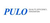 Paragolpe Delantero Renault Scenic Negro Pulo - comprar online