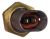 Bulbo Temperatura Renault Master - comprar online