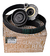 Kit Distribucion Clio 2 K9k 1.5i Bomba Poly V Liq Original - La Casa del  Renault
