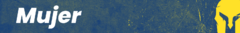 Banner de la categoría Remeras