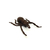 Formiga de Borracha Halloween Pais e Filhos 899508 - comprar online