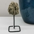 Pirita no Pedestal Fixo - comprar online