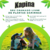 Kapina Herbicida Seletivo Para Gramados Rawell 60ml - Contra Tiriricas na internet