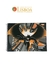 CADERNO DE DESENHO BATMAN 80FLS FORONI - comprar online