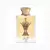 Lattafa Al Areeq Gold Pride - EAU DE PARFUM – 100ml na internet
