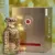 Lattafa Emeer - EAU DE PARFUM - 100ml na internet