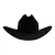 Texana Sinaloa plana
