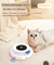 PetPlay SmartBall™ – Brinquedo Inteligente 2 em 1 com Pena Giratória para Gatos e Cães