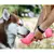 PetBottle 3 em 1 – Garrafa Portátil com Bebedouro, Comedouro e Porta-Saquinhos para Passeios com Cachorros - loja online