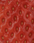 Banner de Amora Vitamin
