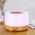 Difusor Aromatizador Ultrassónico Led 7 cores com controle remoto - Empório Flor da Terra