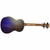 Ukelele Tenor ASHLAND UK212T en internet