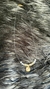 Imagen de Choker Zodiac Goldfilled
