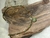 Choker Camo - comprar online