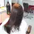Imagem do Alisa Black Prollux Professional