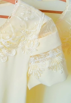 BLUSA na internet