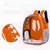 Mochila Pet Para Transporte De Cães E Gatos Visão Panorâmica na internet