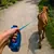 Coleira retrátil para cachorro - Pallash Store