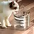 Bebedouro Fonte De Agua Com Filtro Para Pet - Pallash Store