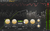 Todos Los Plugins De Fabfilter - EL MUNDO DEL AUDIO