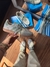 Adidas Samba - comprar online