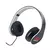 Gold Monster 1000 Bobina 5" - loja online