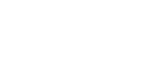 elysee lingerie