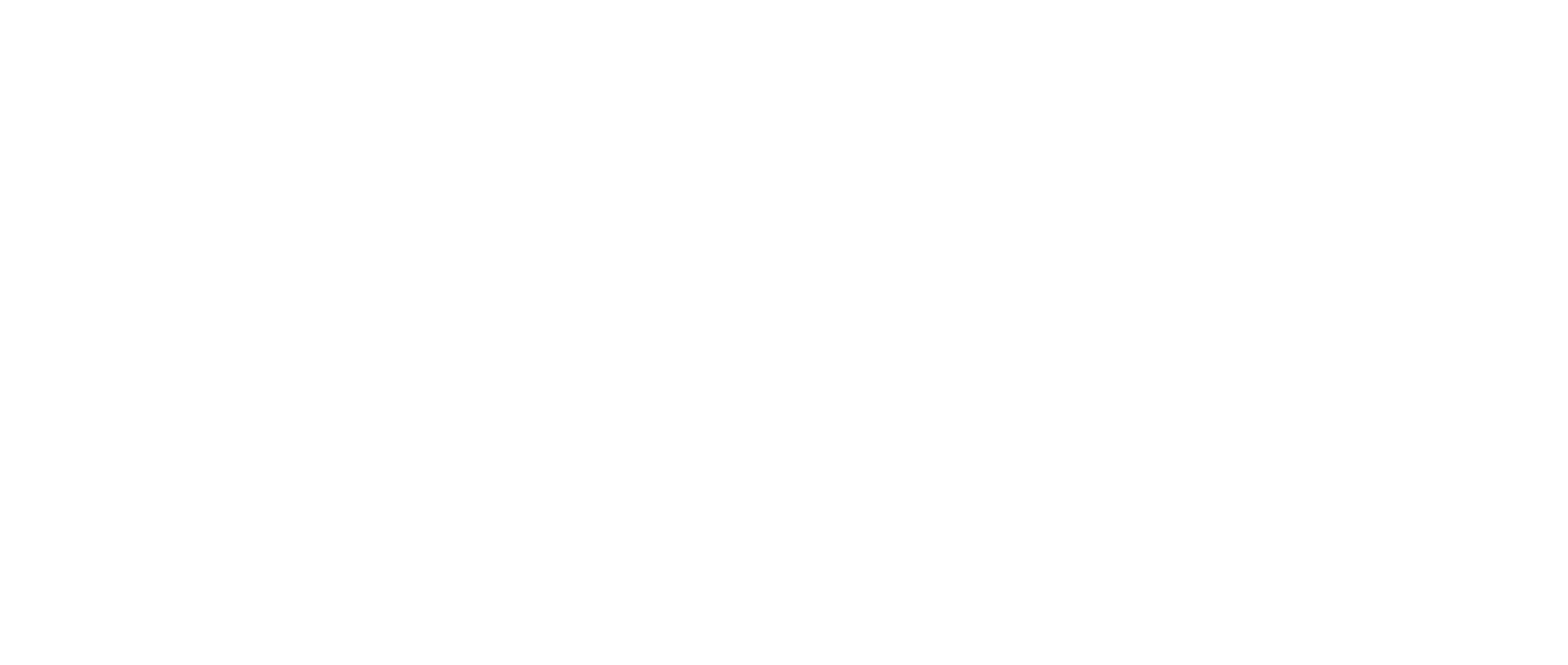 elysee lingerie