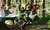 Transition TR11 White GX [2025] - Bicisport