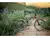 Cannondale 29 Scalpel Carbon 2 en internet
