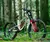 Transition TR11 White GX [2025]