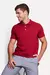 POLO PIQUET CLASSICA - RESERVA - comprar online