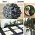 Pedras Ornamentais Seixo Preto Medio 9,5kg. - patty garden