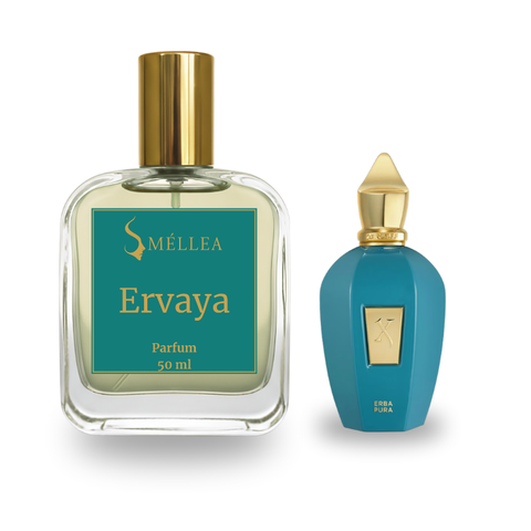 Ervaya - inspirado em Erba Pura - comprar online