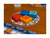 Azul - Jogo De Tabuleiro Galápagos - RGB - Room.Gamer.Bussines