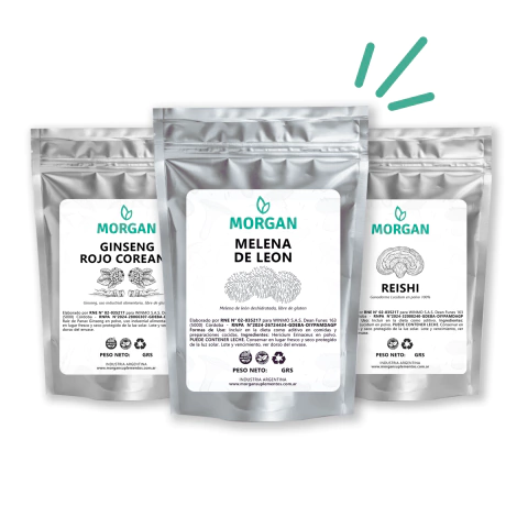 BLEND - Focus & Balance | Melena de León + Ginseng + Reishi - comprar online