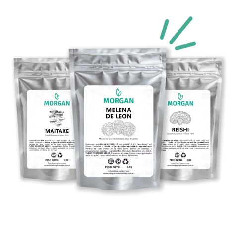 BLEND - Harmony Pack | Melena de León + Reishi + Maitake - comprar online