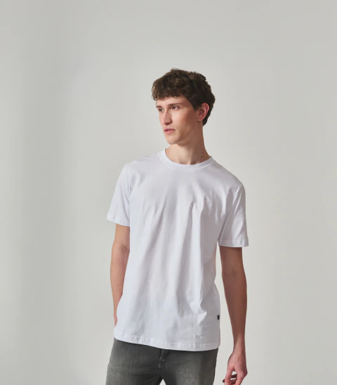REMERA LEVITT BORDADA