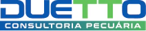 Duetto Consultoria