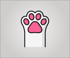 Banner da categoria Gatos
