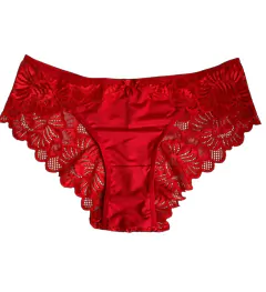 Panty cachetero - comprar en línea
