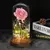 Rosa em cúpula de vidro led